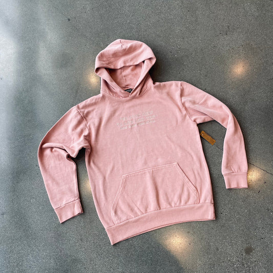 “We Took Risks To Live Like This” Embroidered Hoodie